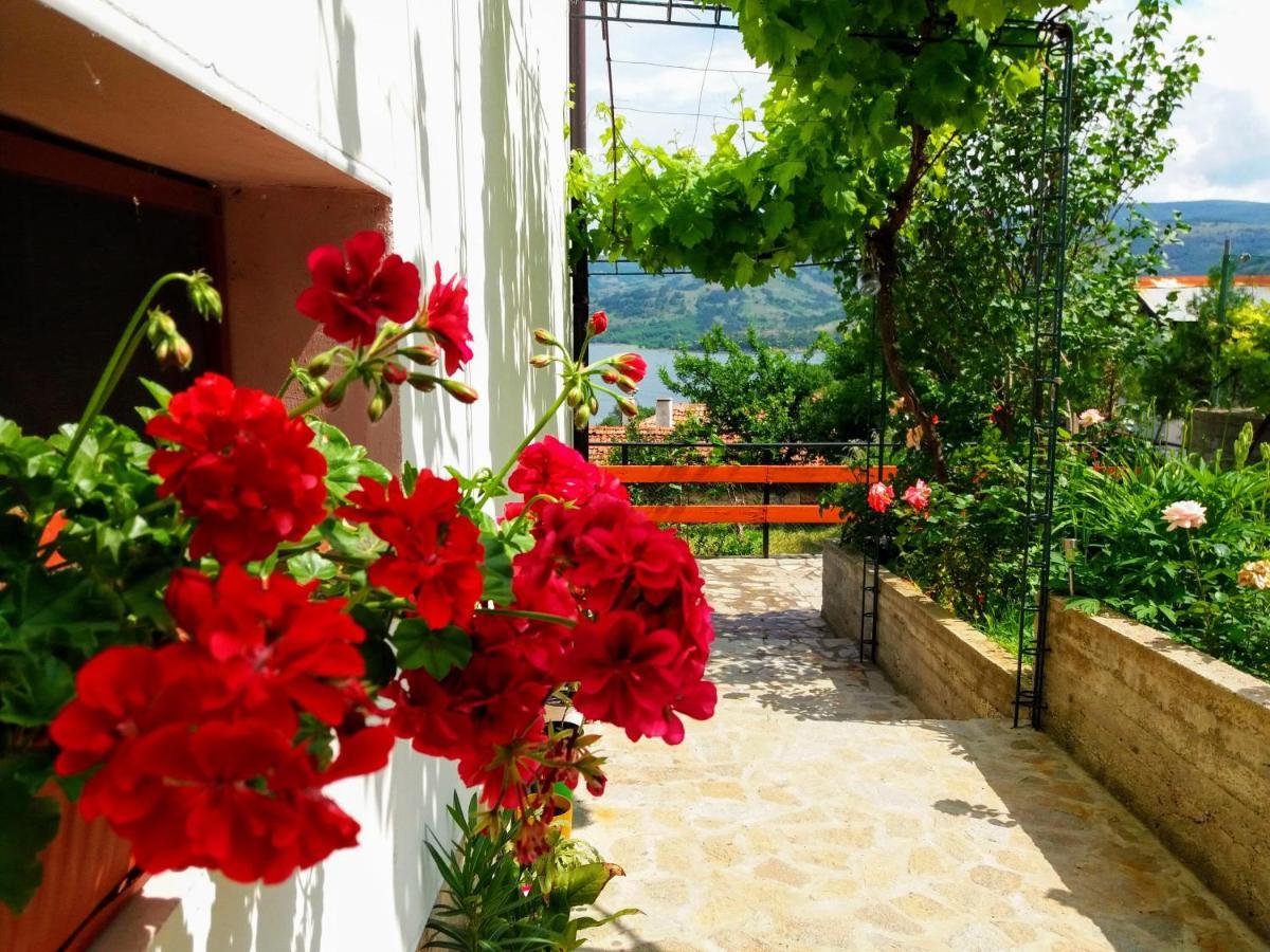 Mihaela Lake Retreat Gnyazdovo Ngoại thất bức ảnh