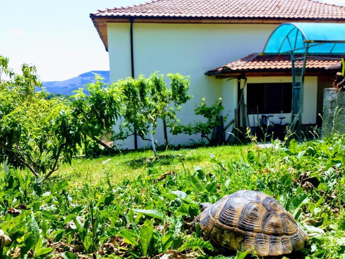 Mihaela Lake Retreat Gnyazdovo Ngoại thất bức ảnh